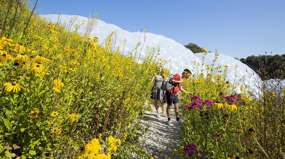 The Eden Project